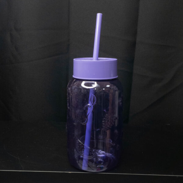 Botella Infantil Frutal Violeta