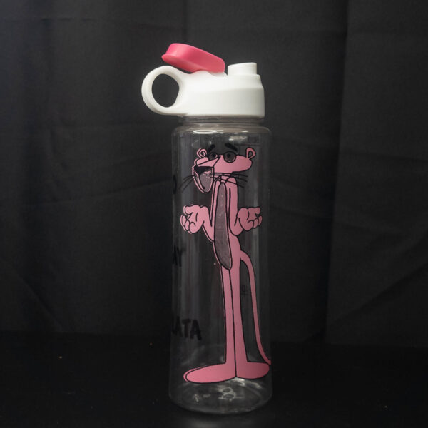 Botellas No Hay Plata 600ml - Imagen 3