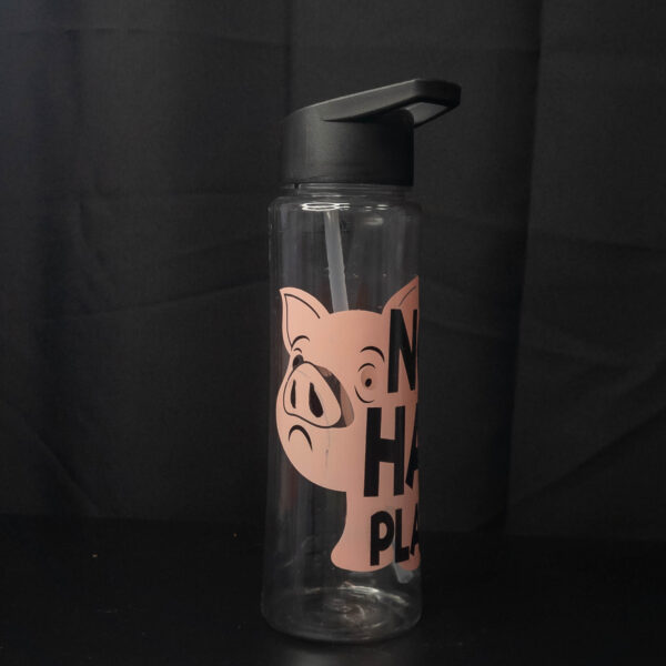 Botellas No Hay Plata 600ml - Imagen 6